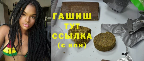 стаф Магас