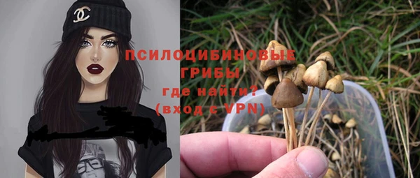 дурь Майский