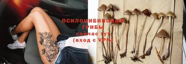 дурь Майский