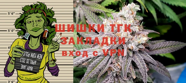 СК Медногорск