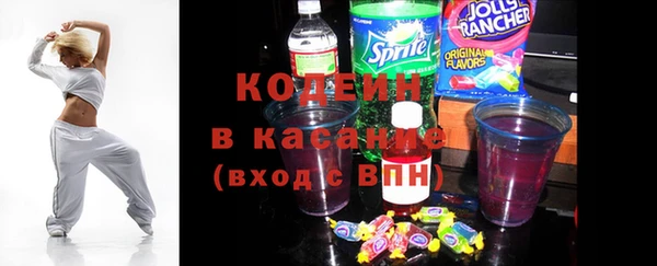 индика Новый Уренгой