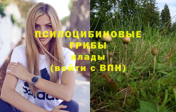 гашишное масло Надым