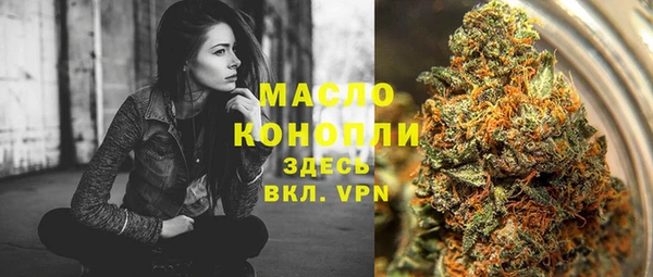 стаф Магас