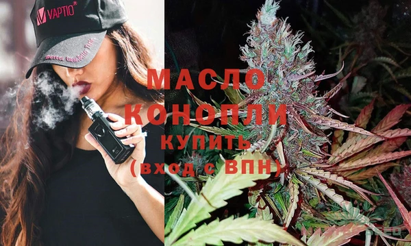 индика Новый Уренгой