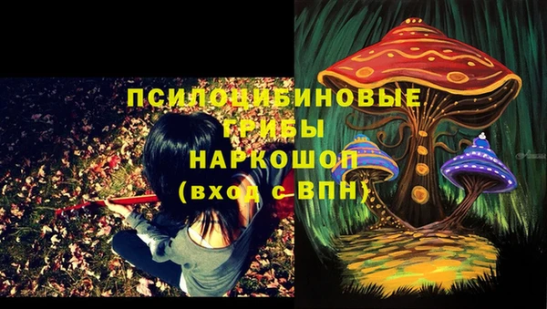 ешки Орехово-Зуево