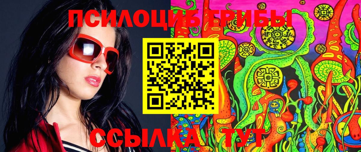 Псилоцибиновые грибы Magic Shrooms  как найти   Волгоград 