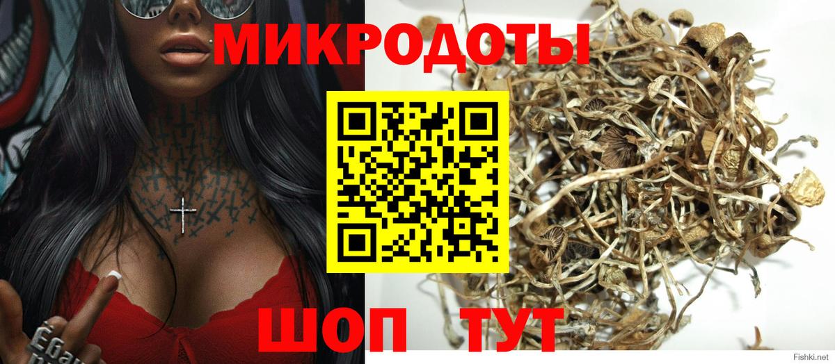 Галлюциногенные грибы Psilocybe  Галлюциногенные грибы Magic Shrooms  Вход с VPN  Волгоград 