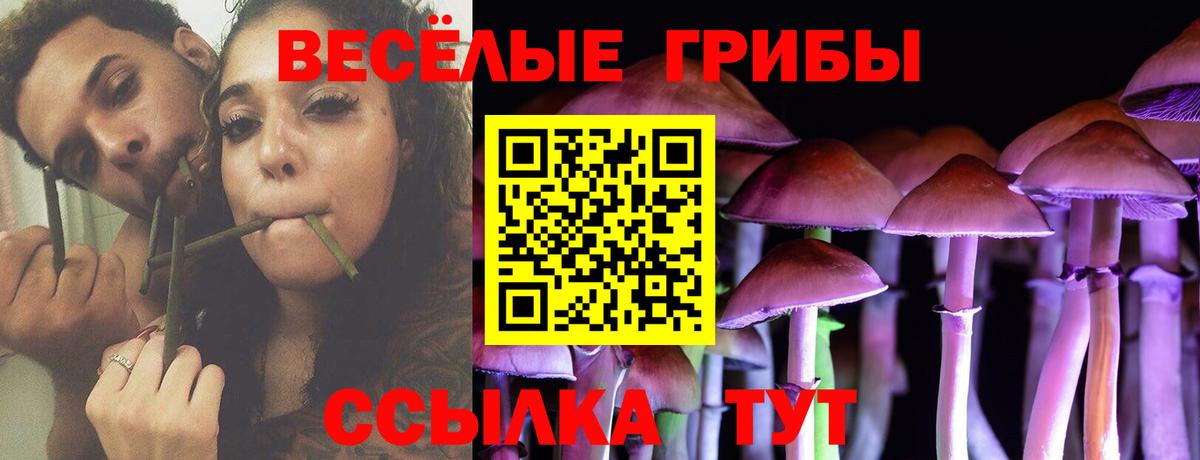 Псилоцибиновые грибы мухоморы Волгоград