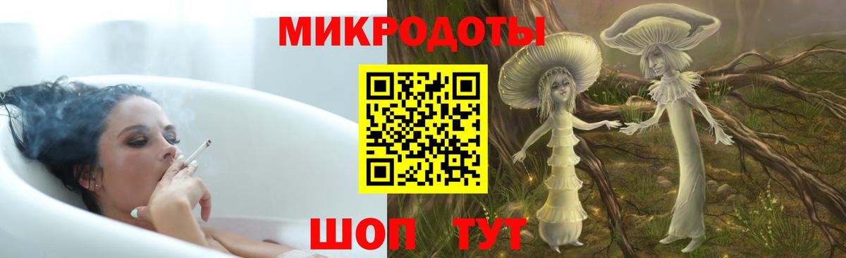 Псилоцибиновые грибы Cubensis Волгоград